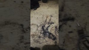 Проблемы со стартером поло