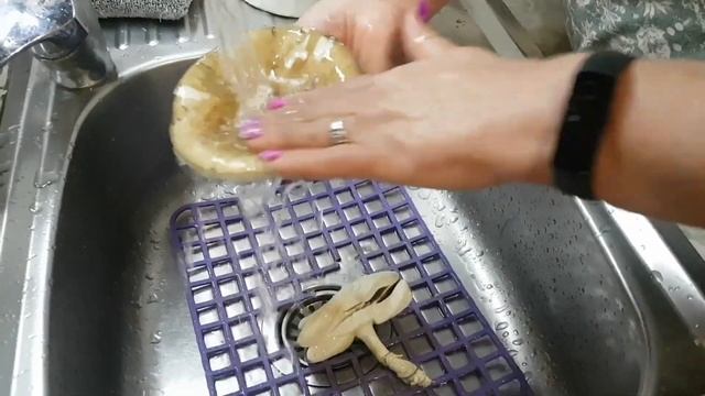 Посинеет ли лук при варке бледных поганок? смотреть онлайн