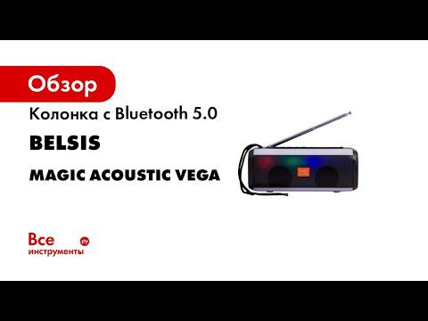 Портативная акустическая система со светомузыкой Magic Acoustic vega SK1014