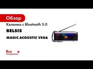 Портативная акустическая система со светомузыкой Magic Acoustic vega SK1014