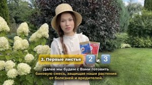 Чудо-коктейль ГОРТЕНЗИИ