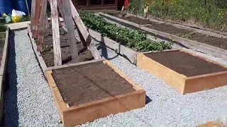 1. Теплые грядки и шикарные дорожки без сорняков!