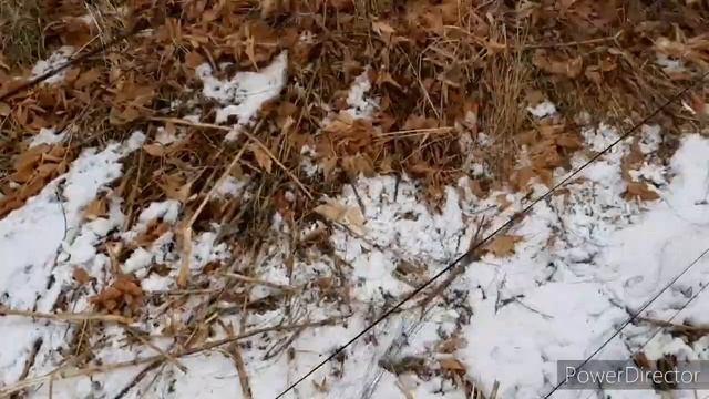 ЛОВЛЯ ЩЕГЛОВ, ОВСЯНОК. И Т.Д. 3 ЧАСТЬ ЗАКЛЮЧИТЕЛЬНАЯ? 23.10.20. смотреть онлайн