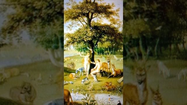 Интересные факты о рае смотреть онлайн