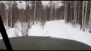 ЗИЛ 131.  Вывозим дрова .