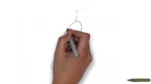 Как нарисовать попугая