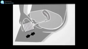 How to use TANTUM ROSA and where to buy: www.cervugid.blogspot.com