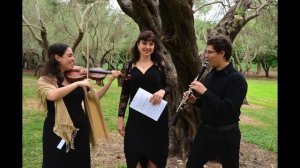 Kerem trio  I. Starvinsky l'Histoire du Soldat I. Marche du soldat