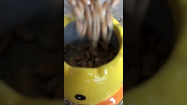 Сажаем и выращиваем пшеницу "Пшеничка из яичка".