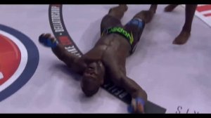 Дикие удары ногами в mma!