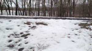 МЫ В СЕЛЕ МУРАФА! СМОТРИМ ДОМ И ПРИРОДУ ВОКРУГ.