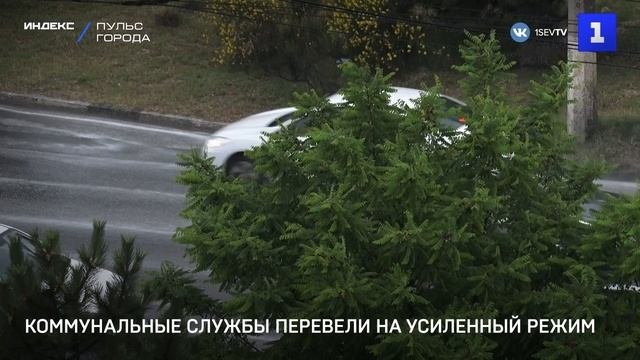 Коммунальные службы перевели на усиленный режим