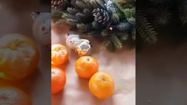 Вдохновляющее видео. Мандариновое настроение и варенье.