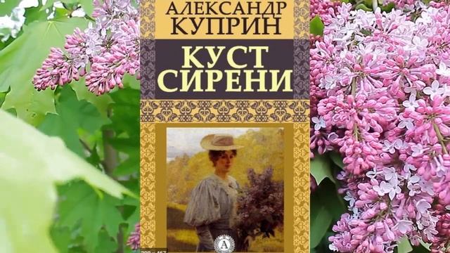 Произведение сирень краткое содержание. Куст сирени Куприн. Куст сирени Куприн иллюстрации. Куст сирени Куприн кроссворд. Куст сирени Куприн тест.