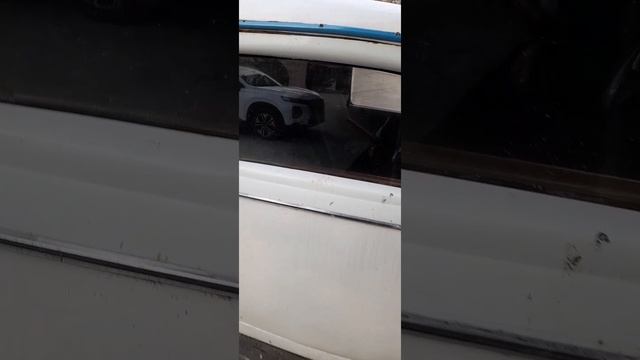 раритет