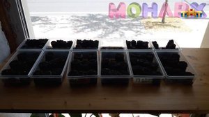 Вихревая медицина. Исследование воздействия и роста растений при использовании вихревых энергий. Ч1