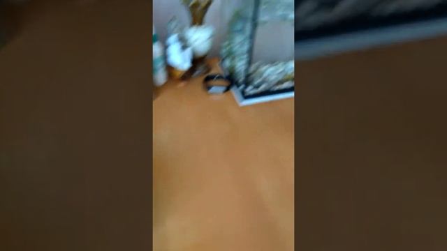 Фильтр с компрессором для аквариума смотреть онлайн