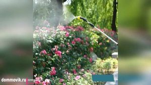 Аккумуляторный опрыскиватель-пистолет