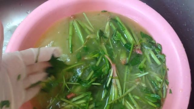 Дезинфекция зелени смотреть онлайн