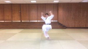 Karate for Beginners #56 - Kata Jitte