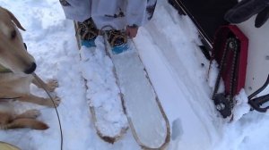 Лыжи охотника. Интересные крепления для охотничьих лыж.
