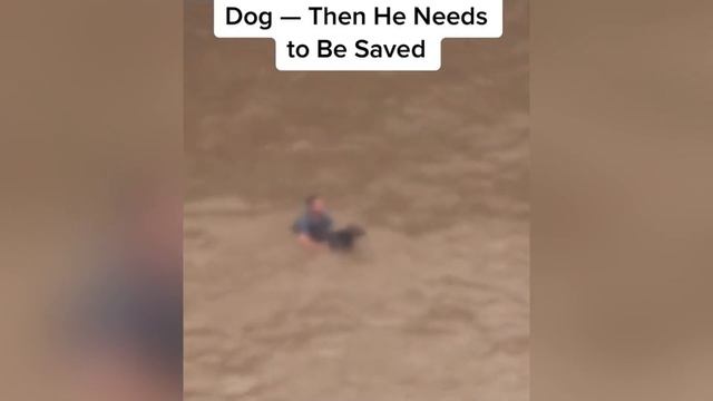 Animals That Asked People for Help & Kindness Ep 26 смотреть онлайн