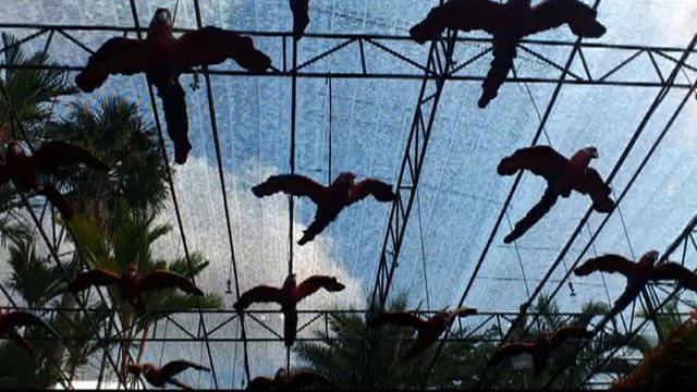 Отдых пляжи экскурсии развлечения Паттайя - Тайланд 2013 год смотреть онлайн