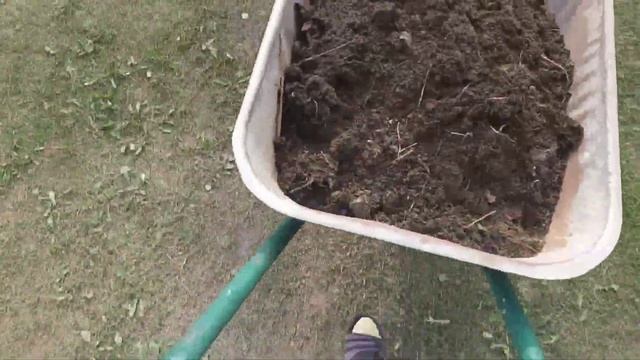 Дачные будни//формируем яблоню/собираем урожай/сажаем цветы/конец августа смотреть онлайн