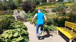 Стимулирование надпочечников, венозного оттока от головы и ног,оздоровление колена!