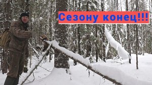 Охота на куницу капканами. Закрываю путик. Росомаха у избы.