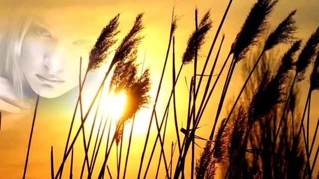 Пожелания Спокойной ночи Красивая музыкальная открытка смотреть онлайн