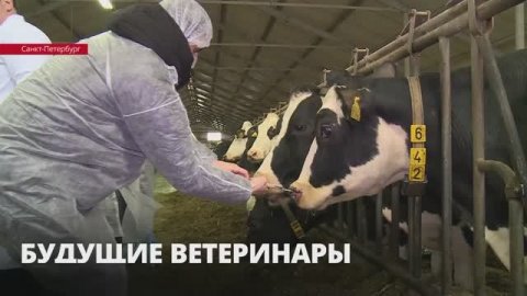 Будущим ветеринарам провели занятия в стенах сельхозпредприятия «Детскосельский»