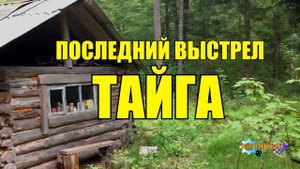 НА СОБОЛЯ С ЛАЙКОЙ | УКРАЛИ СОБАКУ | ЖИЗНЬ В ТАЙГЕ