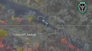 работает "ЛАНЦЕТ"