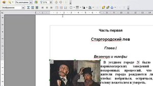 Вставка подписи к рисункам в OpenOffice.org Writer