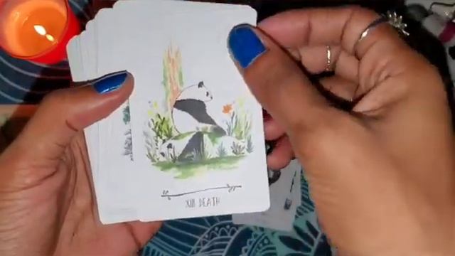 Way Of The Panda Tarot 🖤💨🍷🔮 Witchy Walk Through | Fables Den смотреть онлайн