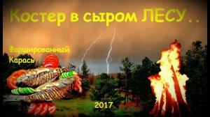 Костер в сыром лесу или фаршированная рыба на углях