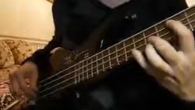 Rammstein-Seemann(Mein bass cover)
