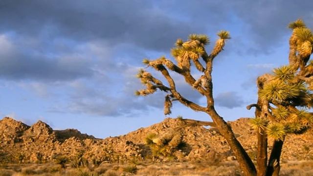 Красоты мира.Ketron SD1 & Roland V-Synth GT. Pan-Flute. смотреть онлайн