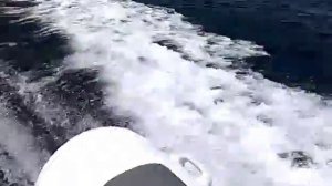 Tohatsu MFS50A + Rib Maestral 490