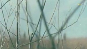 Георгий Панков - Песня пограничников