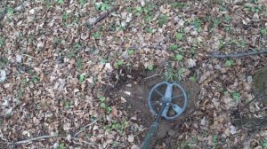 Лесные находки. Поиск с металлоискателем.