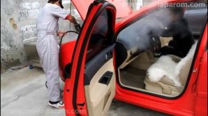 Мойка двигателя и чистка салона автомобиля Парогенератором МП-12000