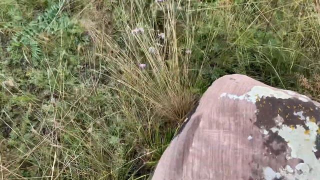 Места Силы Хакасия Городище смотреть онлайн