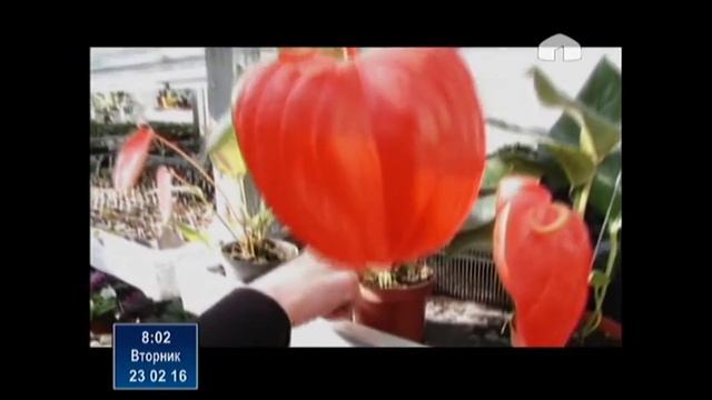 Оригинальный подарок для мужчин смотреть онлайн