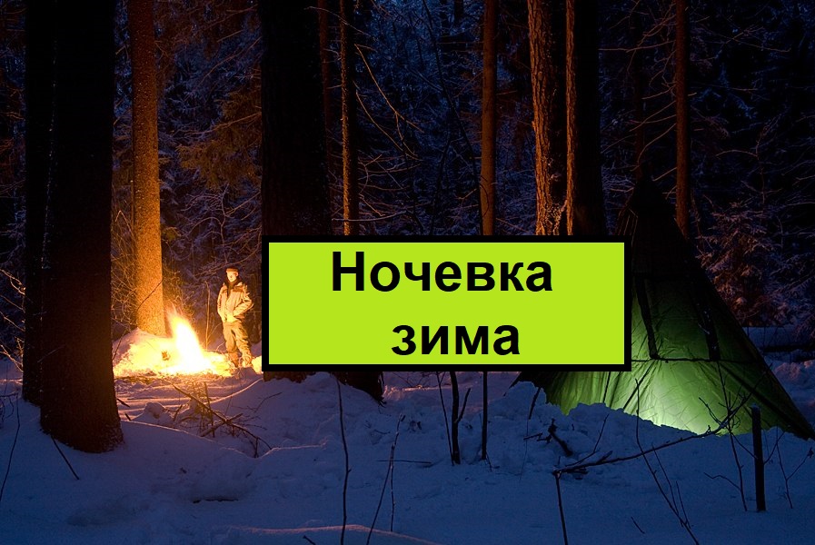 СЪЕСТЬ СОБАКУ В ЛЕСУ