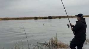 Рыбалка ОСЕНЬЮ,Трофейный Сазан,Карп ломает удочку.....Прекрастный отдых на Глубоком Турунчуке