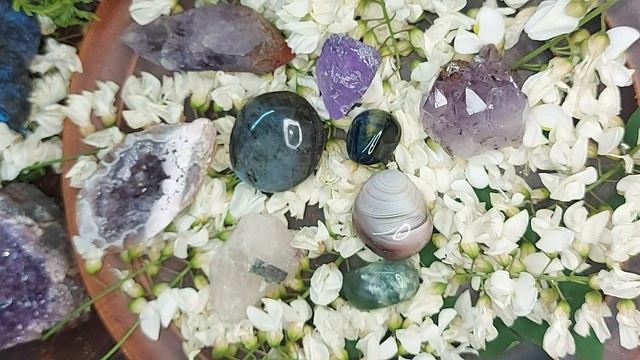 🔮Зарядка мінералів квітами акації, яка підійде кожному смотреть онлайн