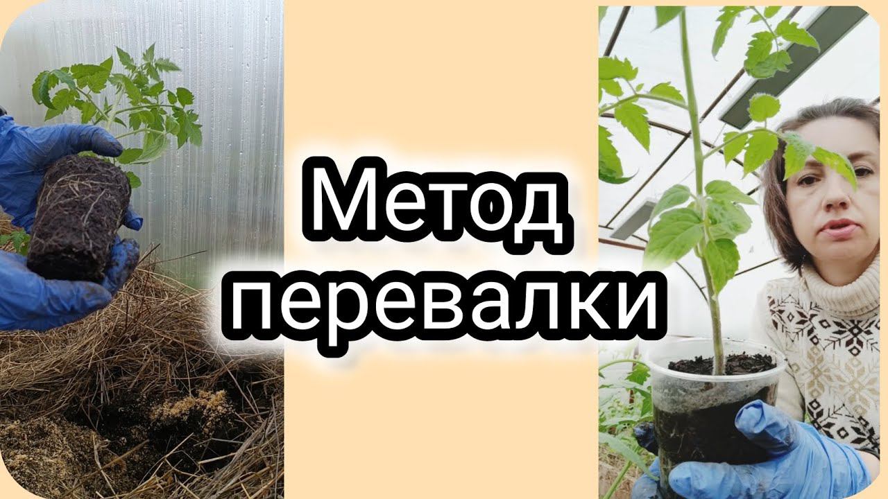 Метод перевалки #перевалка