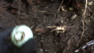 Отличный шурф, редкие находки!Коп на САХАЛИНЕ! НАХОДКИ ВРЕМЕН КАРАФУТО!